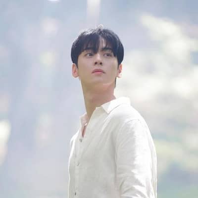 Cha Eun-woo