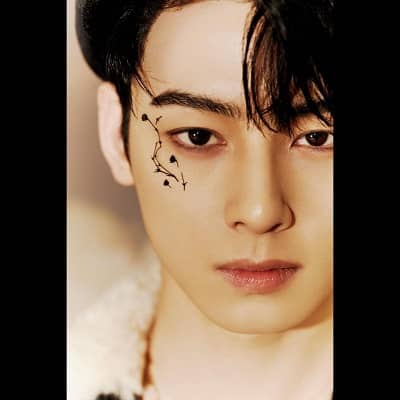 Cha Eun-woo