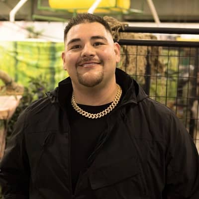 Andy Ruiz