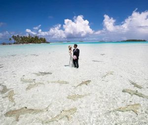 Ocean Ramsey - Bio, Age, Net Worth, Height, In Relation, Facts