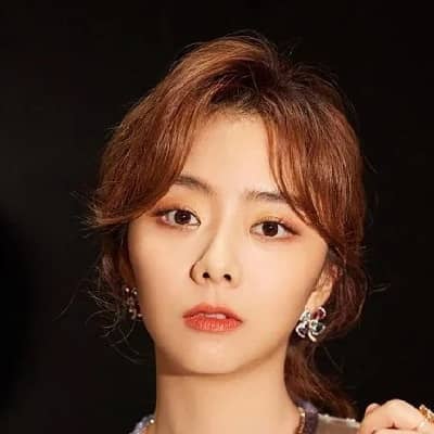 Tan Songyun Bio, Age, Career, Net Worth, Height, Facts