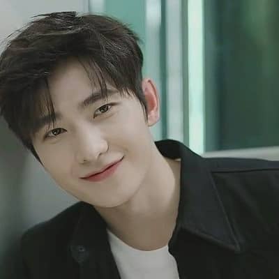 Yang Yang